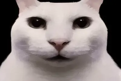 Deadpan Cat