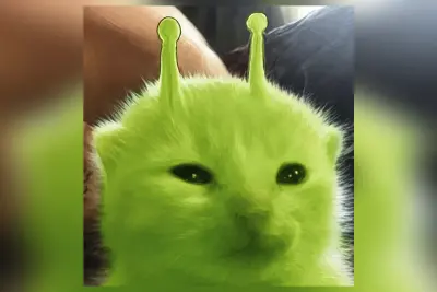 Gato Alienígena