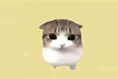 圆滚滚小猫